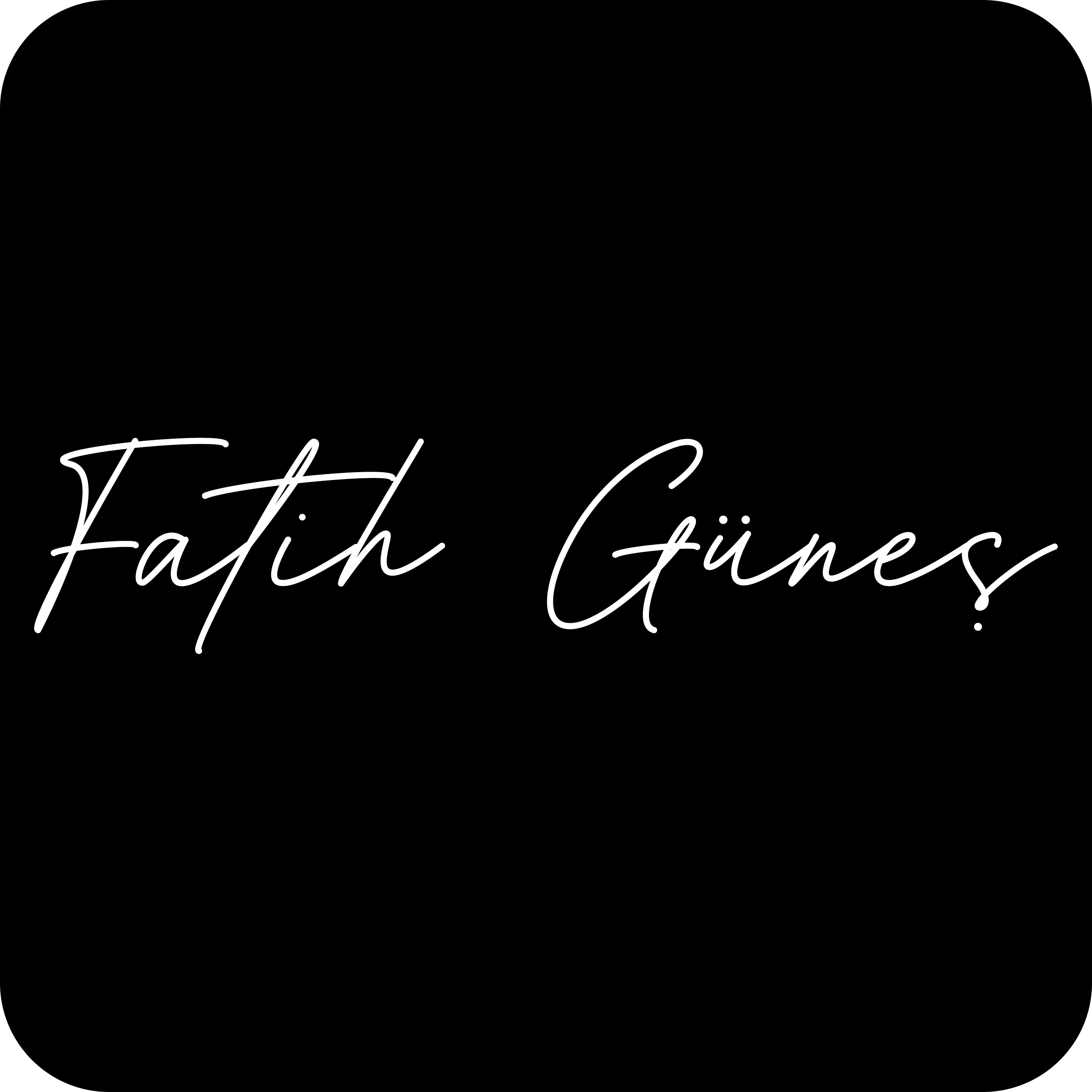 fatihgunes.pages.dev favicon